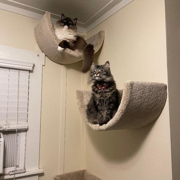 New Wall mounted cat bed - Picture 9 of 16